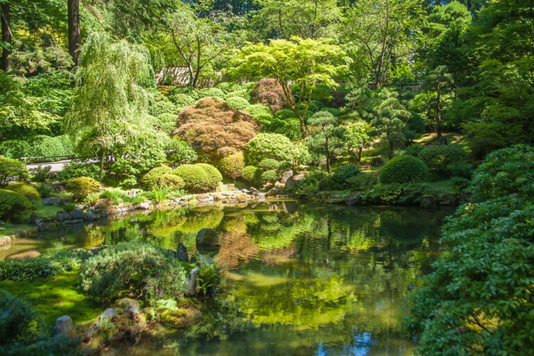 Jardin