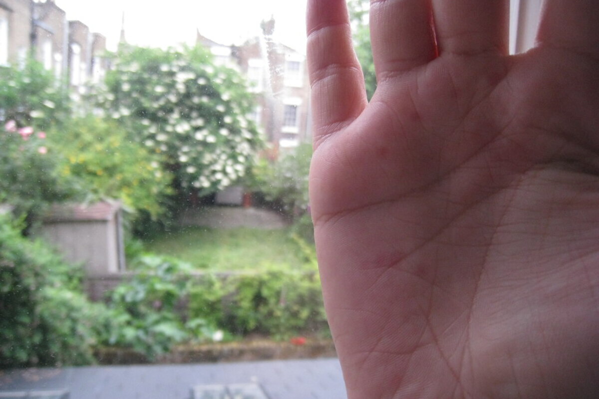 Les mains d'un jardinier plantant un jeune plant